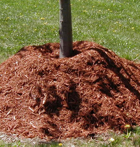 Mulching Rochester NY